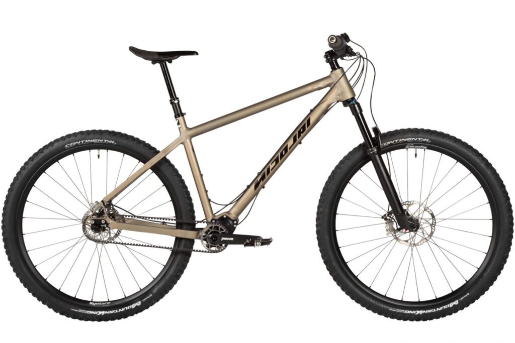 Nicolai ARGON GTB PI - German XC/Bikepacking hardtail with Pinion and Gates belt