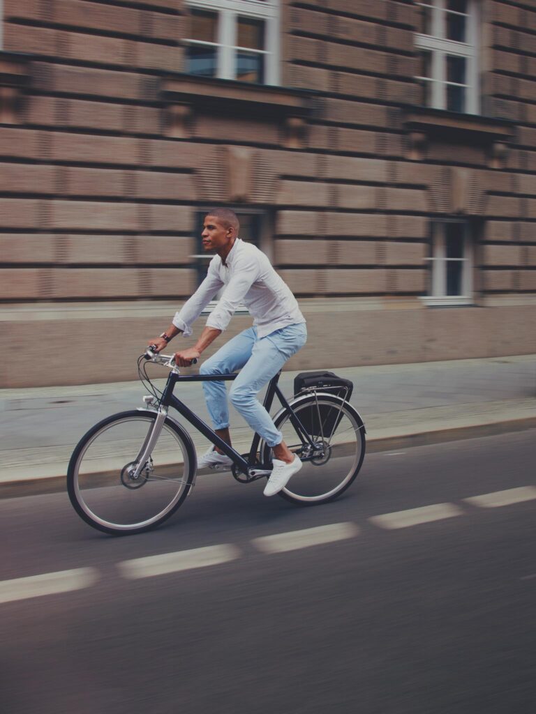 Schindelhauer Friedrich belt drive bike