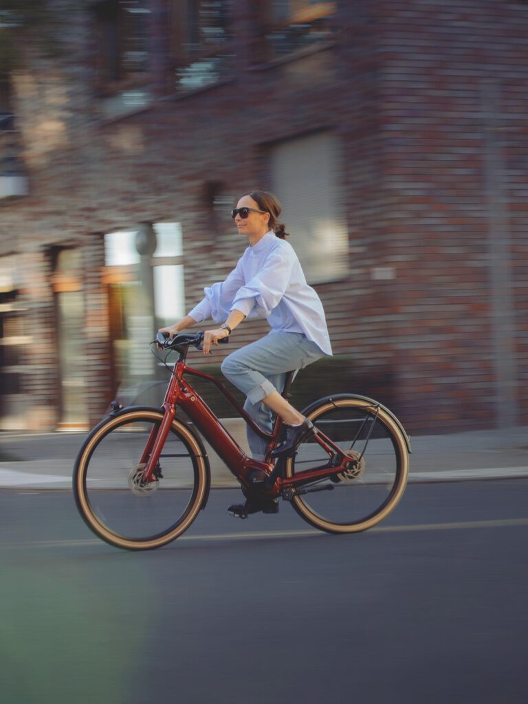 Schindelhauer Hannah Enviolo 1.0 belt drive bike