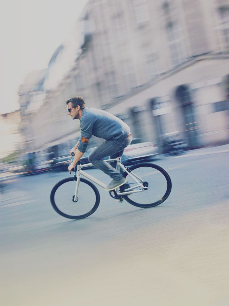 Schindelhauer Viktor belt drive bike